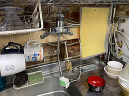 the fresh logo: a sliced lemon dripping with juice